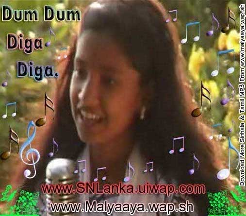 saleman dum dum song
